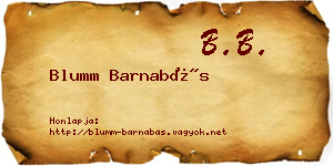Blumm Barnabás névjegykártya